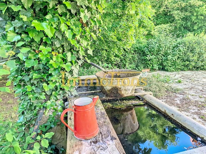 Maison - 330 m² - 9 pièces