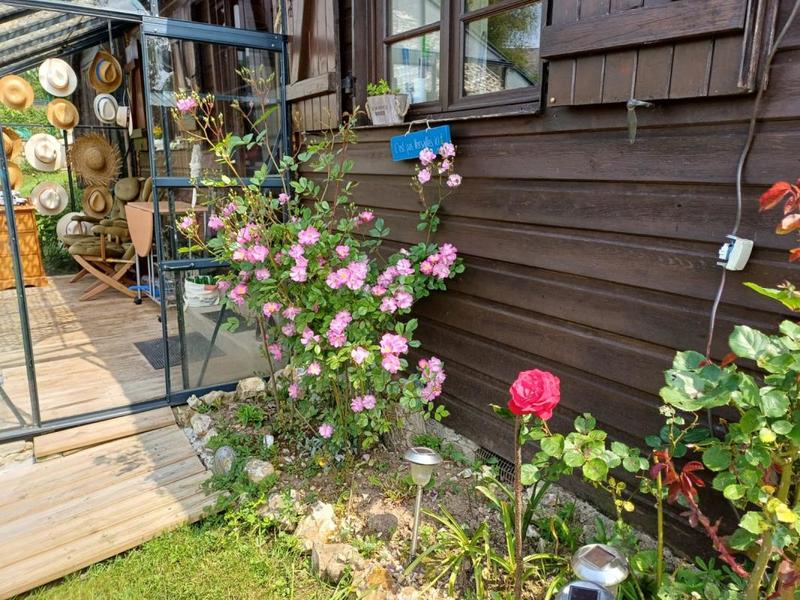 Châlet - 32 m² - 2 pièces