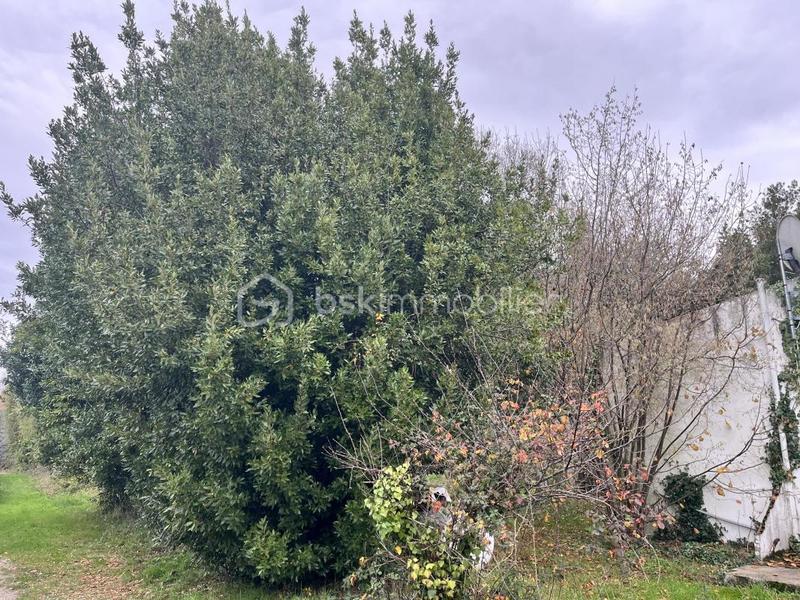 Maison ancienne - 103 m² - 6 pièces