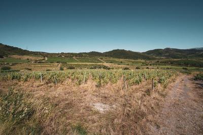 Terrain - 148 075 m²