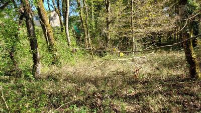 Terrain constructible - 1 255 m²