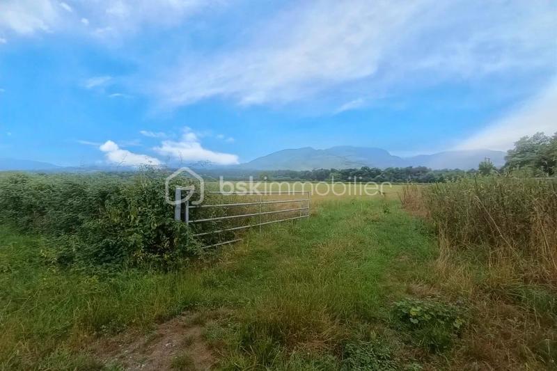 Terrain - 45 181 m²