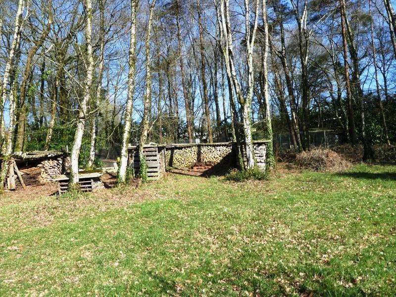 Maison - 55 m² - 3 pièces