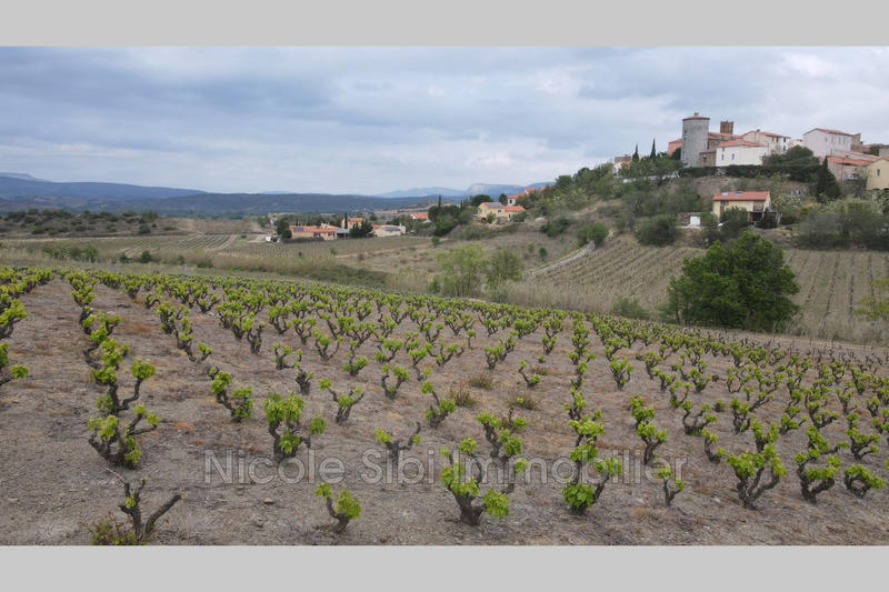 Terrain agricole - 20 250 m²