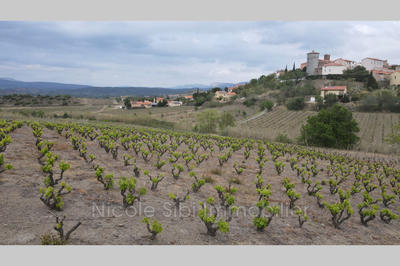 Terrain agricole - 20 250 m²