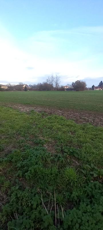 Terrain - 723 m²