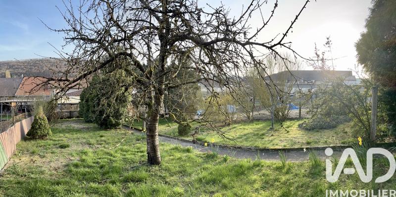 Maison - 300 m² - 13 pièces