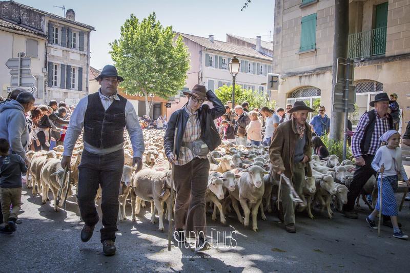 Fête de la Transhumance 2026