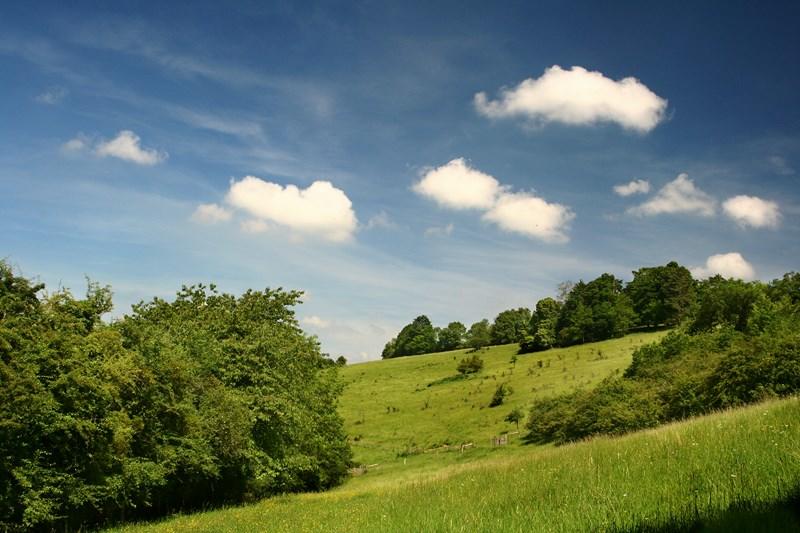 Balade nature - Découverte des insectes et autres petites bêtes