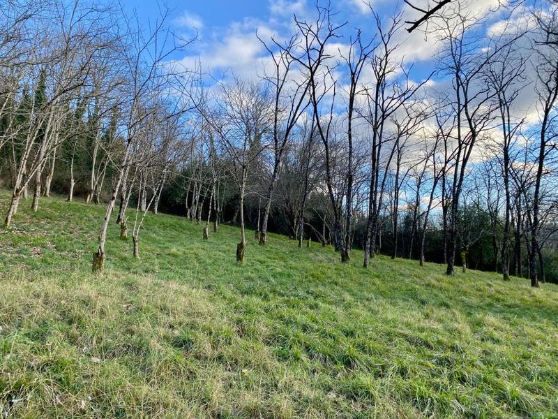 Maison - 165 m² - 6 pièces