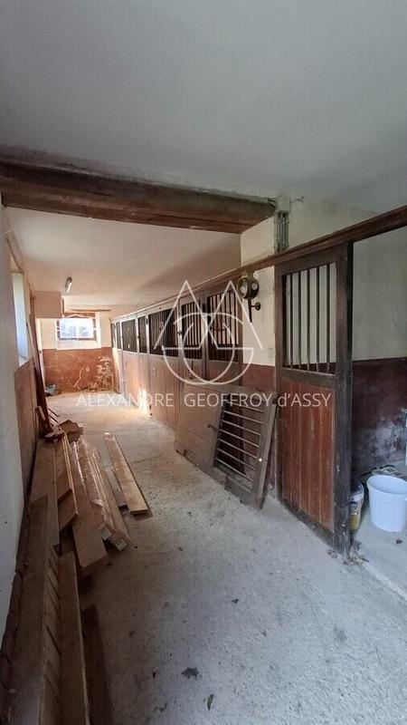 Château - 700 m² - 20 pièces