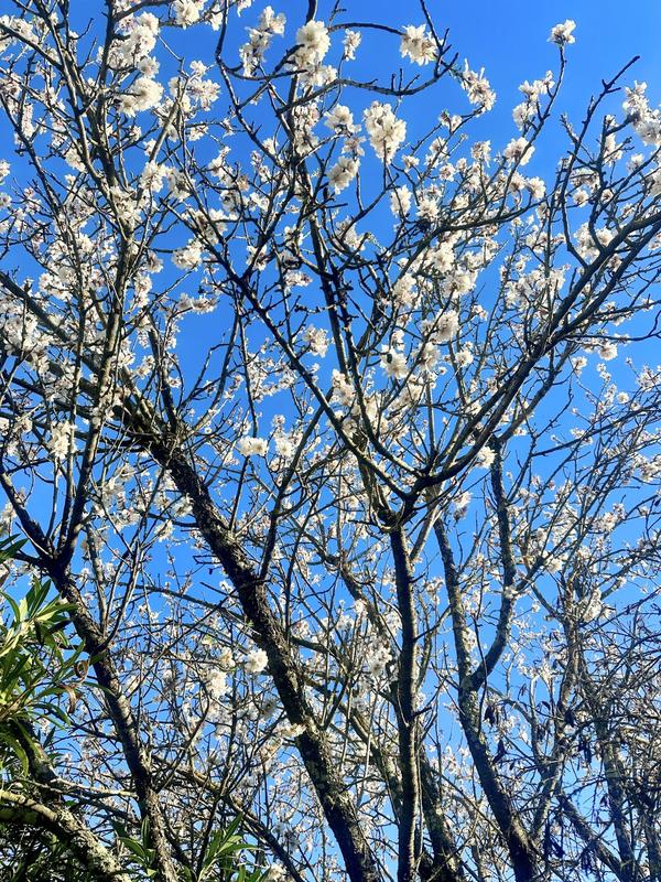 Villa - 111 m² - 5 pièces