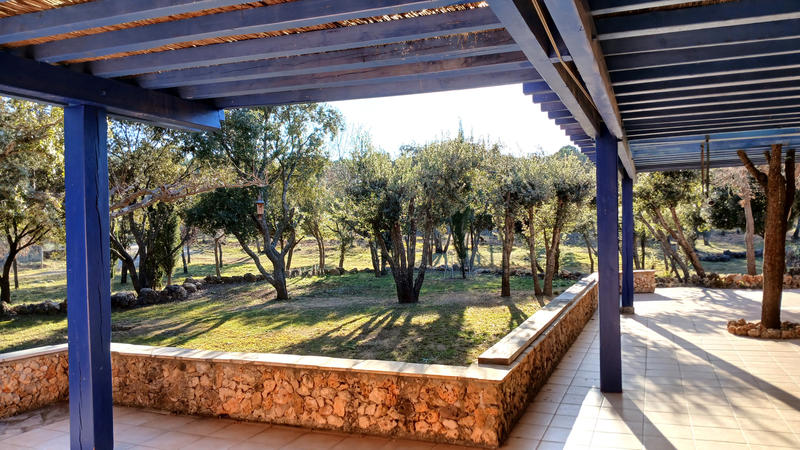 Viager - Maison - 190 m² - 5 pièces