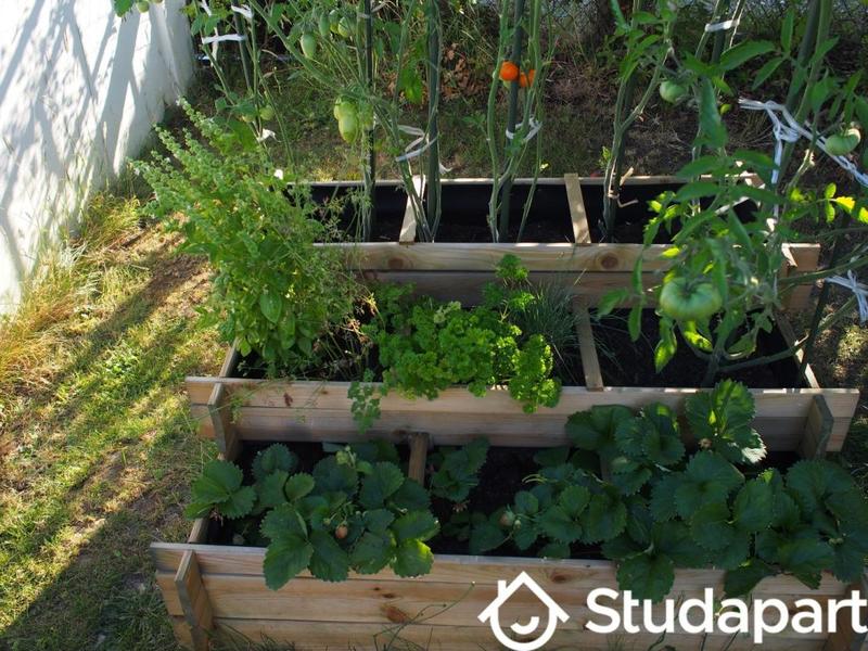 Appartement - 20 m² - 1 pièce