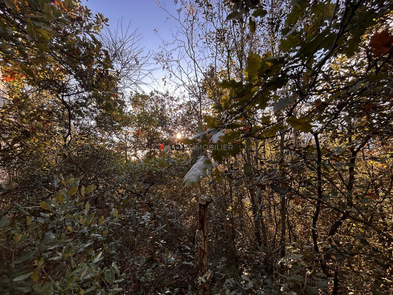 Terrain agricole - 646 m²