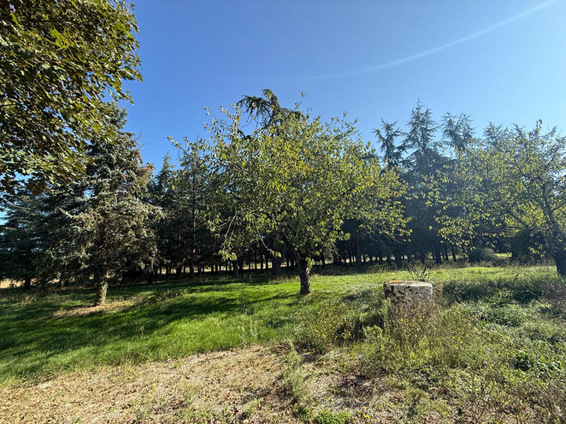 Maison - 210 m² - 4 pièces