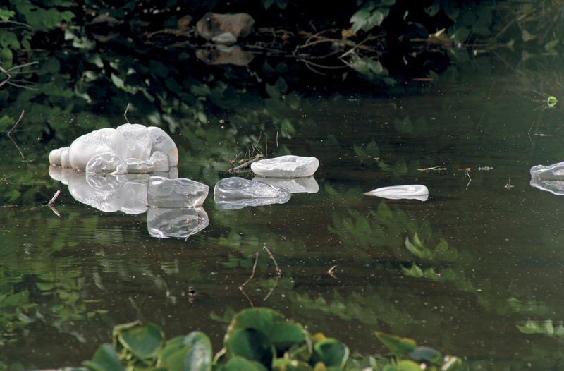 Le Peuple de l’Eau II : Bêtes et Chimères des Lacs et Rivières