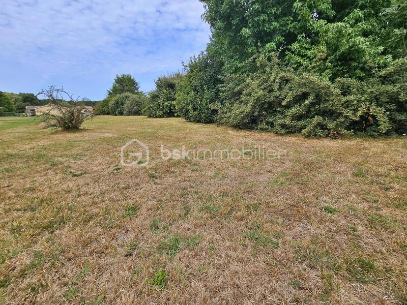 Terrain constructible - 1 428 m²