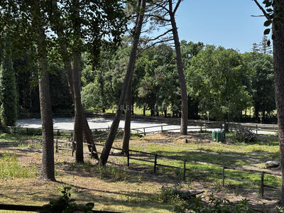 Maison - 231 m² - 7 pièces