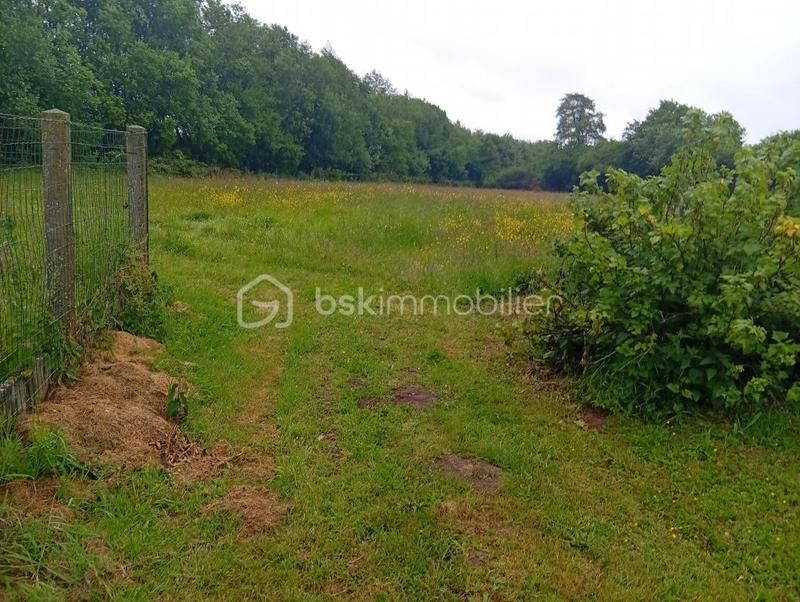 Propriété - 168 m² - 7 pièces