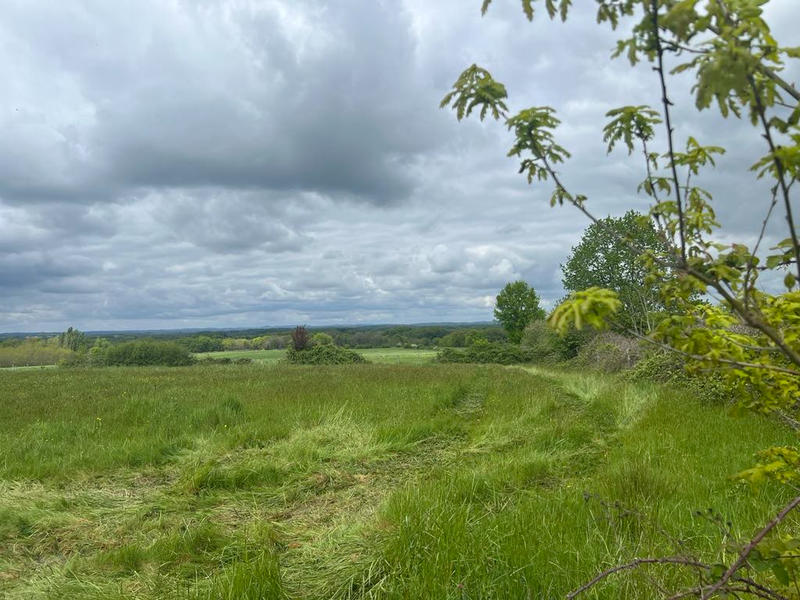 Terrain constructible - 7 410 m²