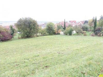 Terrain - 2 282 m²