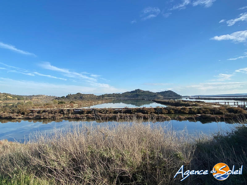 Maison - 170 m² - 5 pièces