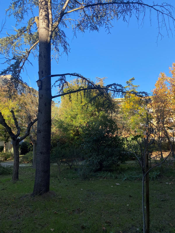 Appartement - 76 m² - 3 pièces