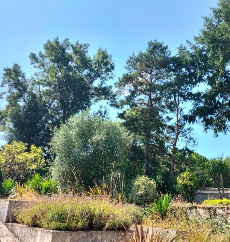 Maison - 206 m² - 6 pièces