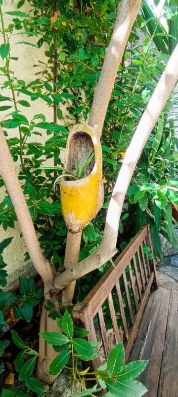 Maison - 162 m² - 6 pièces