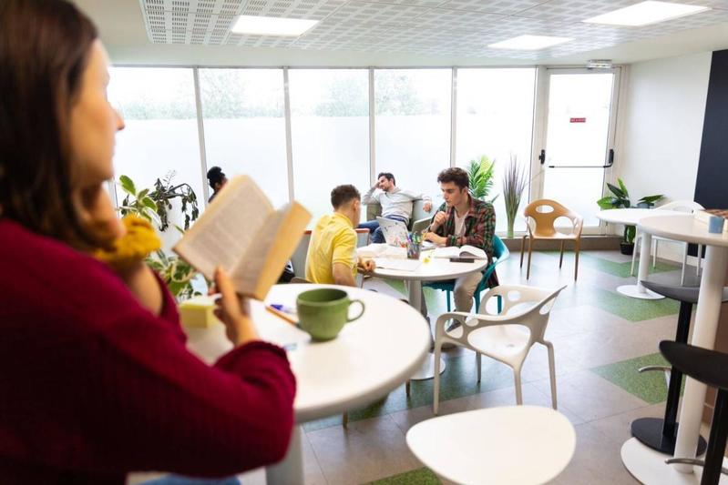 Studio - 19 m² - 1 pièce