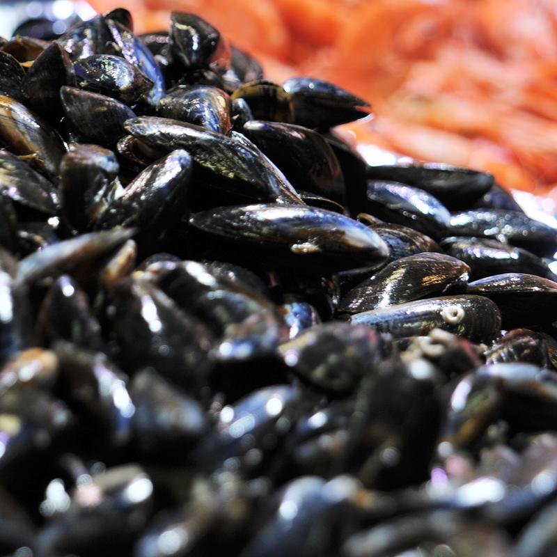 Poissonnerie de l'ile de Ré, Limoges