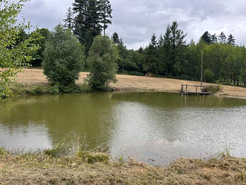 Terrain de loisirs - 9 376 m²