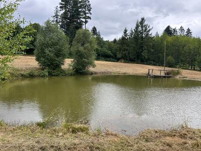 Terrain de loisirs - 9 376 m²