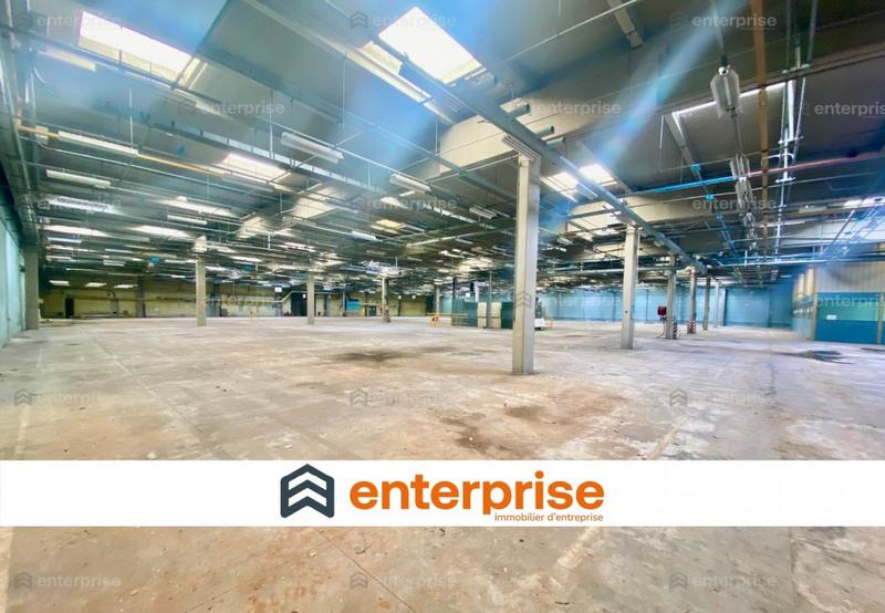 Local d'activité / Entrepôt - 25 000 m²