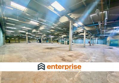 Local d'activité / Entrepôt - 25 000 m²
