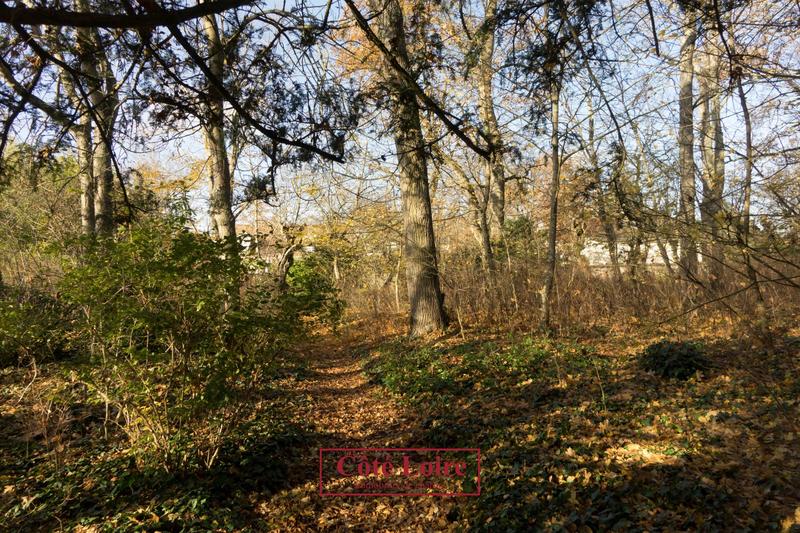 Maison ancienne - 460 m² - 12 pièces