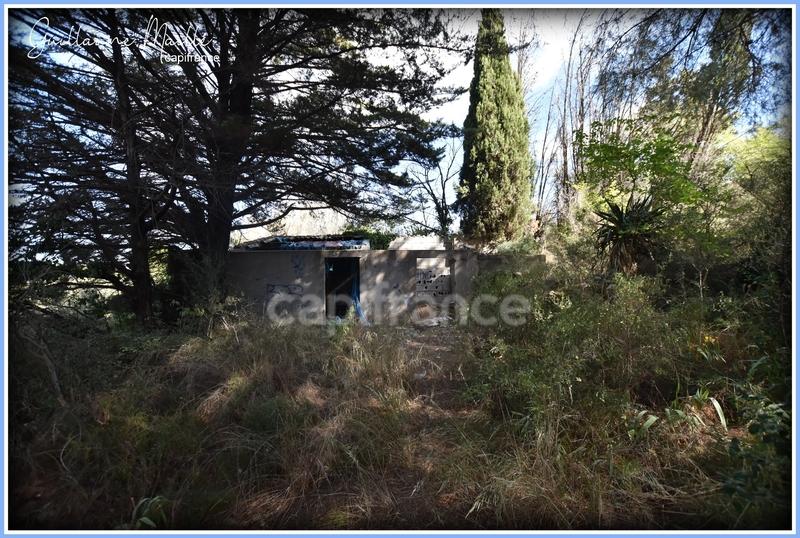 Terrain agricole - 19 630 m²