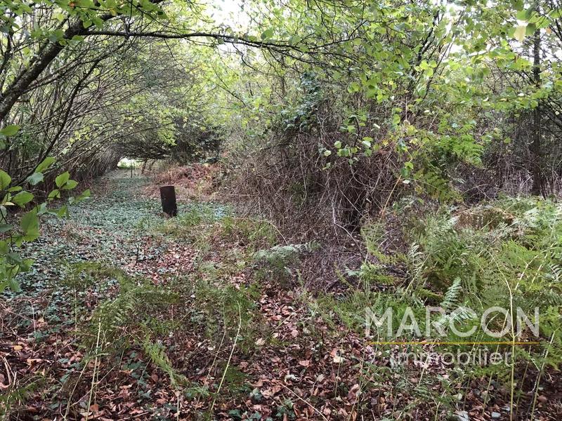 Maison - 25 m² - 1 pièce