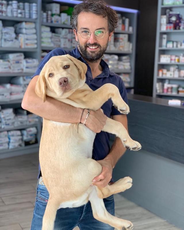 Ouest My Vet Clinique vétérinaire