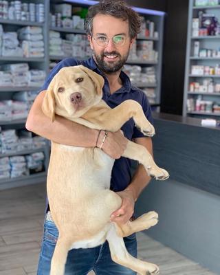 Ouest My Vet Clinique vétérinaire