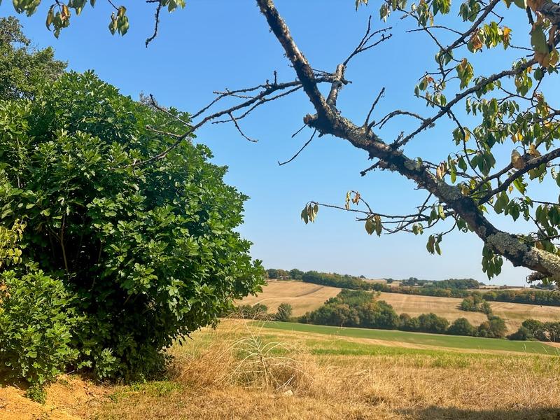 Maison - 148 m² - 5 pièces