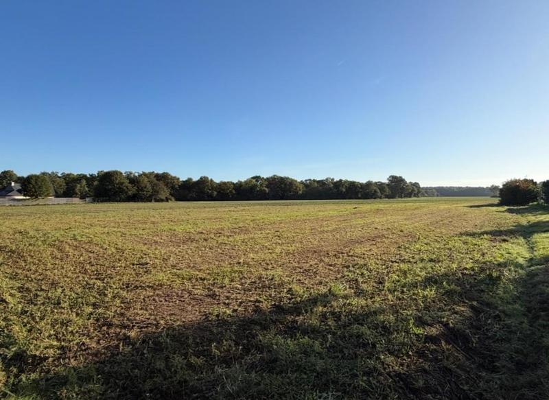 Terrain constructible - 1 065 m²