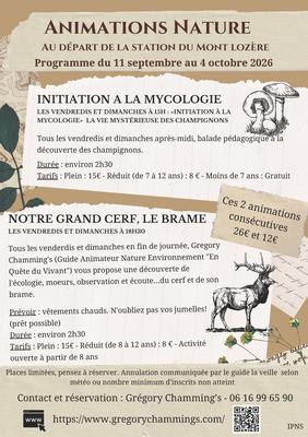 Animation Nature : Brame du Cerf