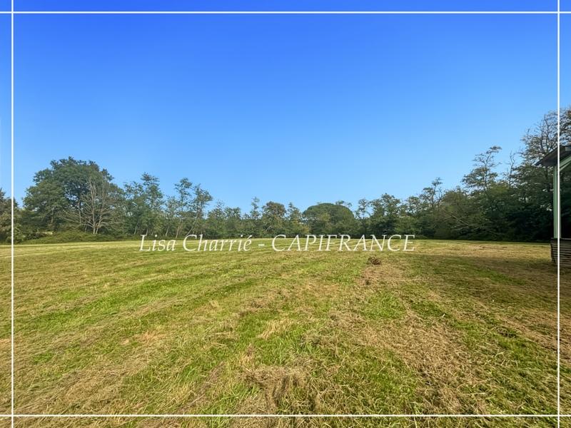 Terrain constructible - 10 455 m²