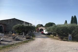 Local d'activités - 875 m²