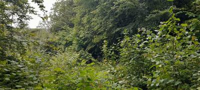 Terrain de loisirs - 586 m²