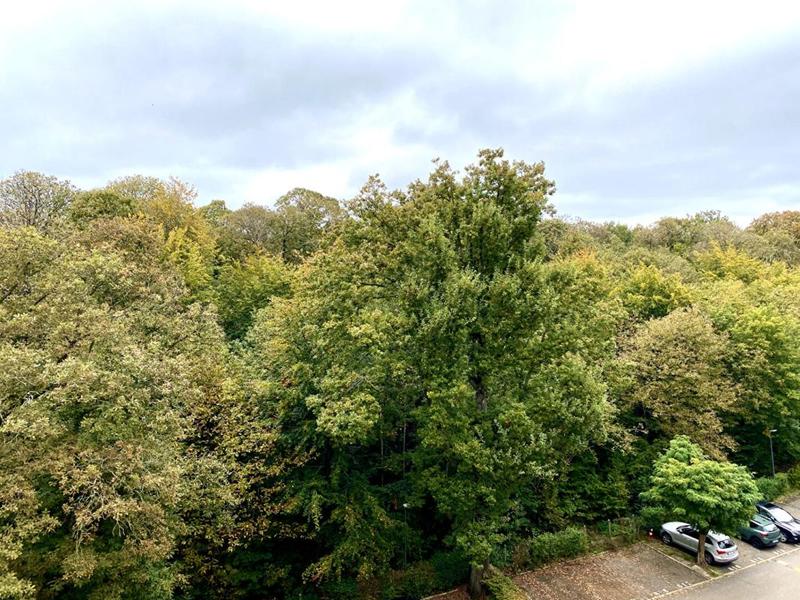 Appartement - 77 m² - 4 pièces