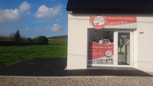 Jusqu'au bout des griffes