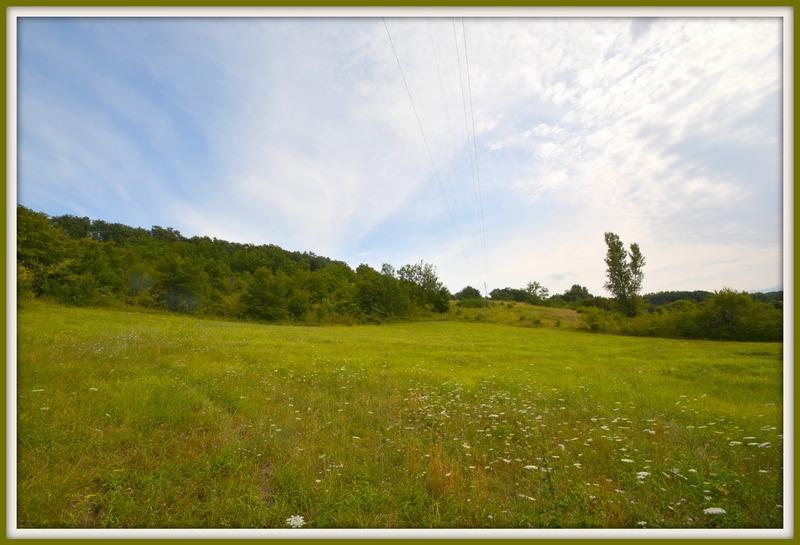 Terrain constructible - 1 646 m²